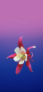 Wallpapers Samsung Galaxy S10 Fond Ecran Samsung Idees De Papier Peint Galaxy