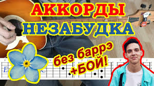 Скачать песню клава кока покинула чат (новогодняя версия). Nezabudka Akkordy Tima Belorusskih Razbor Video Vkontakte