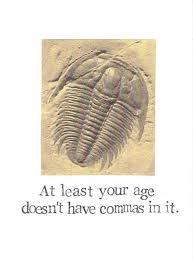 Trilobites occupied different levels of the food web including predator, scavenger, and prey. At Least Your Age Doesn T Have Commas Trilobite Fossil Etsy In 2021 Trilobite Fossil Trilobite Fossils