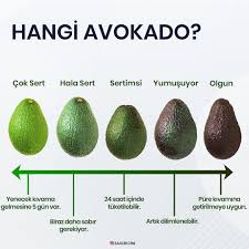 Destek Olmak Istiyorsaniz Gonderiyi Begenmeyi Ve Saglikcini Hesabini Takip Etmeyi Unutmayin Avokado Tarif Avokado Saglikli Ogunler Avokadolu Tarifler