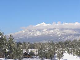 Live Webcam of Flagstaff | Pine Canyon