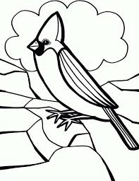 In this article you can get different types of birds coloring pages for kids like owl, parrot, peacocks, penguins and hummingbird. Cardinal Bird Coloring Page For Preschool Kids Coloring Sun