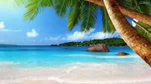 Palmeiras beach club at grove isle. Pin Em Wonderful World