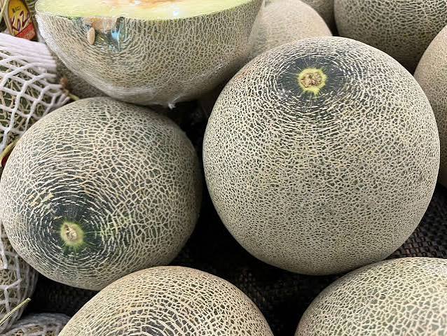 Melon