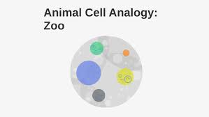 We did not find results for: Cell Analogy Zoo By Callum Mckay
