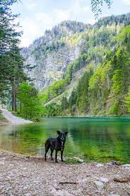 Start planning for lunz am see. Die Drei Seen Tour Am Lunzer See Wiederunterwegs Com
