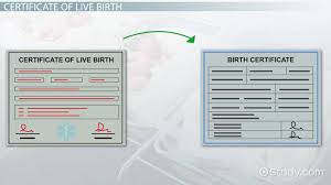 Michigan birth records and affidavit of parentage records are restricted documents and are available only to eligible individuals. Certificate Of Live Birth Vs Birth Certificate Video Lesson Transcript Study Com