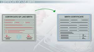 Maybe you would like to learn more about one of these? Certificate Of Live Birth Vs Birth Certificate Video Lesson Transcript Study Com