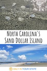 The Little Known Sand Dollar Island In North Carolina Is Great For Finding Loads Of Sand Dollars North Carolina Vacations North Carolina Travel North Carolina Beaches