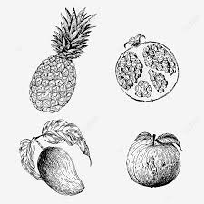 Lukisan Buah Epal Hitam Putih Cikimm Com