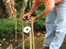 Drive a nail into the center of the 2x6 top rail, set in slightly from the top edge. How To Build A Simple Fence Around A Vegetable Garden How Tos Diy
