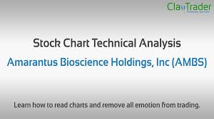 Amarantus Bioscience Holdings Inc Ambs Stock Chart