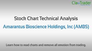 amarantus bioscience holdings inc ambs stock chart