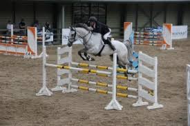 Ravensdale Lodge Equestrian & Event Centre Results : Equestrian News NI