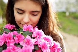 Allergy Sufferer's Guide to Plants & Flowers