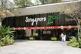 Entrance Singapore Zoo Singapore Entrance Of The Singapore Zoo Singapore Aff Entrance Singapore Zoo Ad Singapore Zoo Zoo Singapore