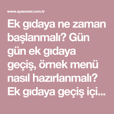 ek gidaya ne zaman baslanmali gun gun ek gidaya gecis ornek menu nasil hazirlanmali ek gidaya gecis icin oneriler tavsiyeler gida mama tarifleri beslenme