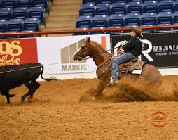 Performance Horse Central