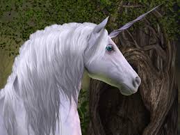 Scientifically, the collective noun for a group of they lived in houses made of unicorns, so that animals were out of the place and wouldnt bother. 10 New Unicorns May Fly Out Of Telangana Soon The Economic Times