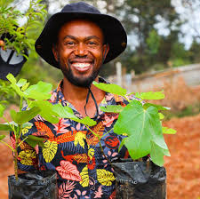 Image result for Fadogia ancylantha