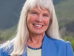 House District 3 campaigns: Mitsch Bush holds 2-1 fundraising advantage  over Hanlon