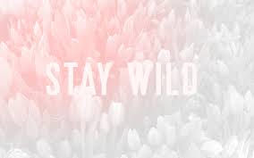 Looking for the best aesthetic wallpapers? Pastels Aesthetic Computer Wallpapers Top Free Pastels Aesthetic Computer Backgrounds Wallpaperaccess