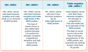 Image result for Breast Cancer Staging