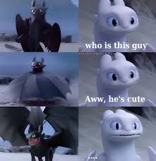 First You See A Guy Than You Start To Like Them And Then You Re Like There It Is But I Think Th How Train Your Dragon How To Train Your Dragon