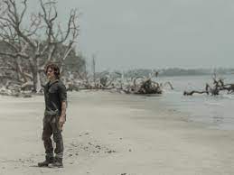 Infos zu staffel 11 von the walking dead: The Walking Dead Staffel 11 Das Musst Ihr Zum Grossen Serienfinale Wissen Netzwelt