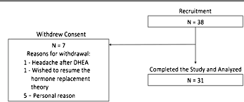 Figure 1 From The Effect Of 12 Month Dehydroepiandrosterone