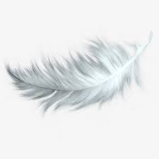 Falling White Feathers White Feather Falling Feathers Png Transparent Clipart Image And Psd File For Free Download Feather Tattoos Falling Feather Tattoo Feather Tattoo Design