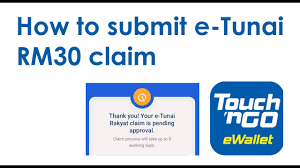 Several user facing issue regarding the card reload feature. Touch N Go Ewallet Tutorial Reload Pay Youtube
