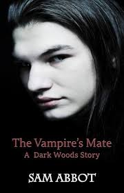 Dark Lovers (Gay Vampire Erotic Romance) eBook : Abbot, Sam: Amazon.ca:  Books