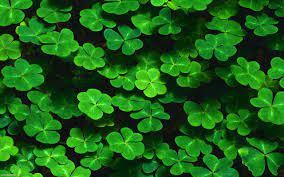 Chances are it isn't if you're dragging and plodding in one area and frenetic and crazy in another. How To Change Your Luck Dream Big With Scott Mary Freeth