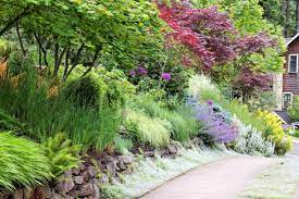 Rain garden plantings commonly include wetland edge vegetation, such as wildflowers, sedges, rushes, ferns, shrubs and small trees. 30 Elegant English Garden Designs And Ideas