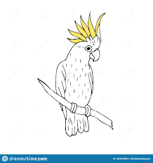 Hand Drawn Simple Bird On Branch Drawing Illustration About Vector Black Ink Line Hand Drawn Cockatoo Parrot Sitting On Tree Branch Isolated On White Backg Tree Drawing Simple Oak Tree Tattoo Drawings