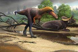 1 in planet dinosaur 1.1 episode 6: We Ve Found The Medium Sized Tyrannosaurs That Came Before T Rex New Scientist