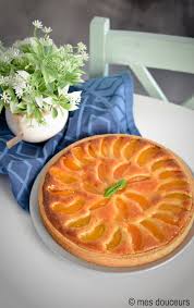 Tarte Abricot Amandes Mes Douceurs Tarte Aux Abricots Tarte Abricot Amande Recette Tarte Aux Peches