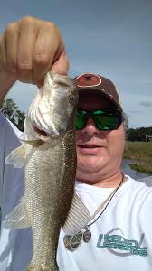 Endless supply of feeder fish for turtles