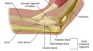 Now, webmd takes a look at the original tommy john surgery that is still used today. Tommy John Surgery Sportmedbc
