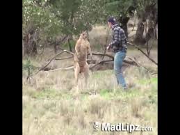 Is your network connection unstable or browser outdated? Hai Sa Ne Batem Youtube