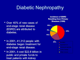 These conditions can affect your kidneys. Dr Sh Sajjadieh Nephrologist Ppt Video Online Download