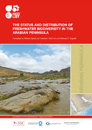 Image result for Pycreus fluminalis