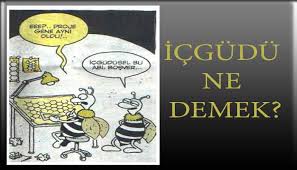 Admin mor renge beyaz rengi karıştırabilirsiniz. Kahverengi Hangi Renklerden Olusur