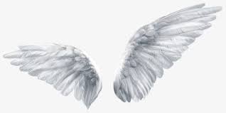 Black And White Angel Wings Png Angel Wings Angel Clipart Wings Clipart Wing Png Transparent Clipart Image And Psd File For Free Download Wings Png Angel Wings Png Angel Wings Drawing