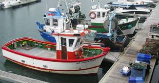 Bateaux De Peche A La Turballe Piriac Sur Mer Bateaux De Peche La Turballe