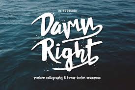 Use this great ocean wave font to present your design in a gorgeous way. Damnright Typeface 550 Script Font Bundles Download Fonts Typeface Brush Script Fonts