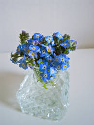 Forget me not flowers for sale. Forget Me Not Pretty Flowers Forget Me Not Buy Flowers Online