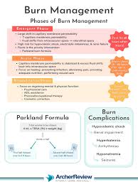 Image result for Burn Management