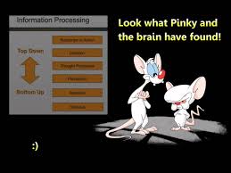 Pinky The Brain Quotes Maxresdefault Jpg Information Processing Brains Quote Pyschology